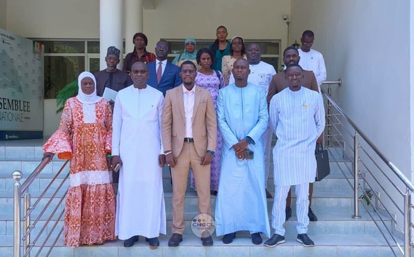 Sénégal : Le Comité de suivi du contenu local détaille sa stratégie minière et pétrolière aux députés