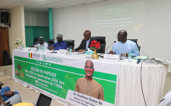 Sénégal : L'ISRA réunit les acteurs de l'agriculture pour structurer la campagne semencière 2026