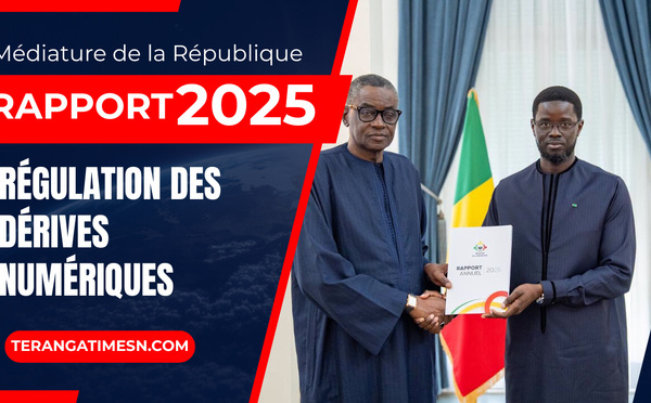Régulation des dérives numériques: Le Médiateur propose un renforcement du civisme à l'école (Rapport Médiature de la République 2025)