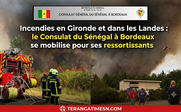 Incendies en Gironde et Landes : Le Consulat du Sénégal à Bordeaux active une cellule de crise pour la communauté