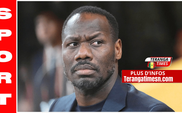 Succession Pape Thiaw : La short-list de la FSF avec Vieira et Daf