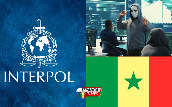 Cybercriminalité en Afrique 2026: Interpol alerte sur la professionnalisation des réseaux armés par l'IA (Focus Sénégal)