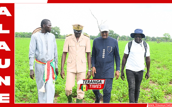 Tournée agricole 2026: Le ministre Dr Cheikhou Oumar Ba évalue la campagne dans la région de Sédhiou