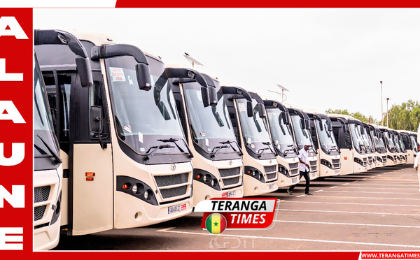 Modernisation des transports: 200 nouveaux bus livrés pour renouveler le parc interurbain au Sénégal