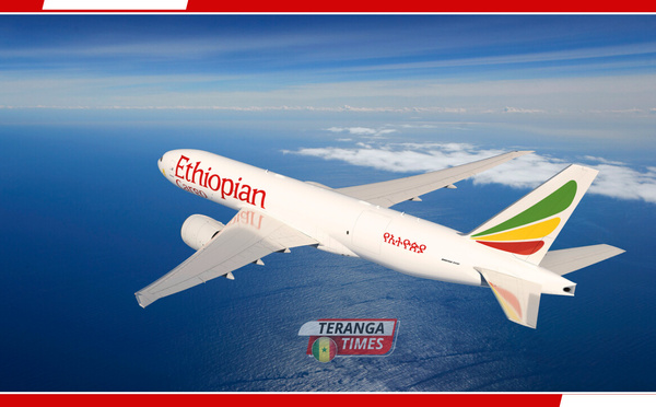 AVIATION: Le top 10 des meilleures compagnies aériennes en Afrique pour voyager en toute sécurité et confort