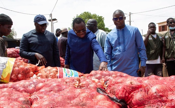 Gamou 2026 : Serigne Guèye Diop inspecte le marché de Tivaouane et veille à l’approvisionnement