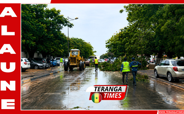 Intempéries à Dakar : La municipalité déploie un plan d'urgence et annonce des visites auprès des sinistrés