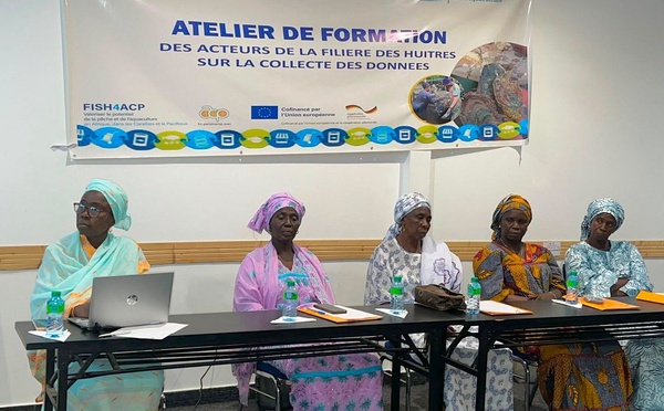 L’ANA renforce les compétences des leaders de GIE de la filière ostréicole