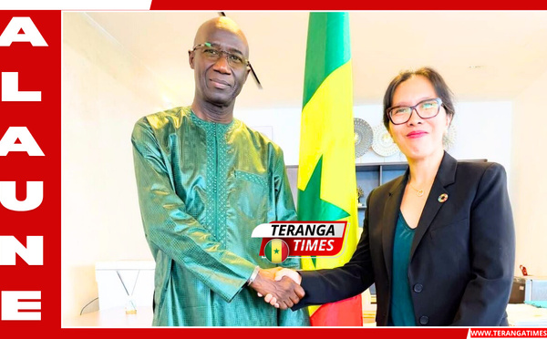 Me Moussa SARR et le PNUD renforcent leur coopération autour de la transformation numérique
