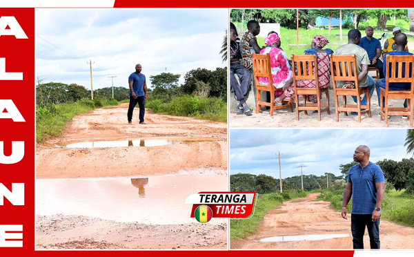 Infrastructures et retour des déplacés : Guy Marius Sagna alerte sur les routes de Kaguitt et le village de Bougnac