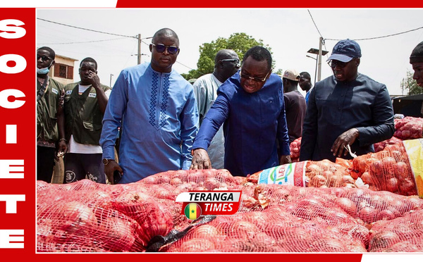 Sénégal: le gouvernement lève le gel des importations d’oignons