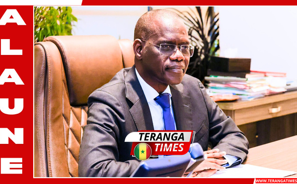 Des filets sociaux renforcés et des investissements massifs dans l'éducation et la santé (DGP Alhaminou Mohamed LO)