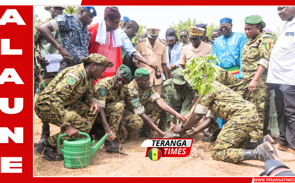 Reboisement 2026 : la Caravane écologique fait étape à Tambacounda pour consolider les acquis