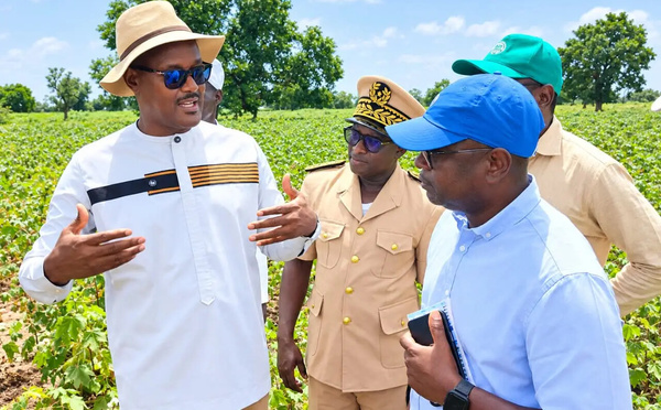 Souveraineté alimentaire et aléas climatiques: Le Ministre Cheikhou Oumar Ba au chevet des producteurs de Tambacounda face au déficit pluviométrique