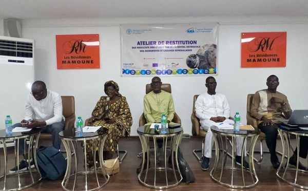Filière ostréicole : l’ANA dévoile le potentiel des mangroves et lagunes du Sénégal