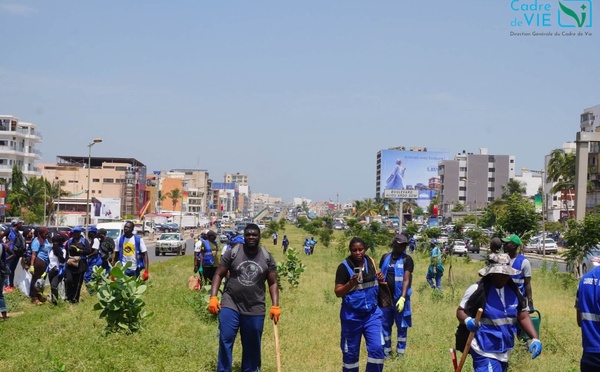 Dakar : La Direction Générale du Cadre de Vie végétalise le boulevard Aliou Ardo Sow sur la VDN