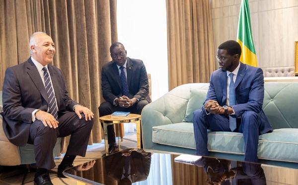 Aviation et Commerce : Air Cairo prépare une ligne directe Le Caire-Dakar et un partenariat avec Air Sénégal
