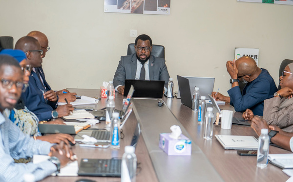 Thierno Alia Mbengue fixe les orientations stratégiques de l'ANER
