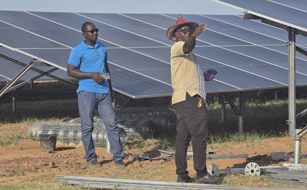 Matam: L'énergie solaire déployée sur le casier rizicole de Bow pour réduire les coûts d'irrigation et soutenir la production locale