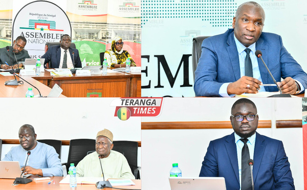 Foncier au Sénégal: le Directeur des Domaines révèle les irrégularités relevées et appelle à une réforme en profondeur
