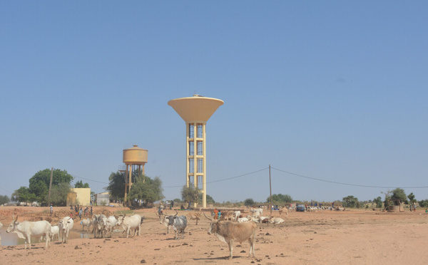 À Thilogne, la gestion des forages par la communauté atteint ses limites