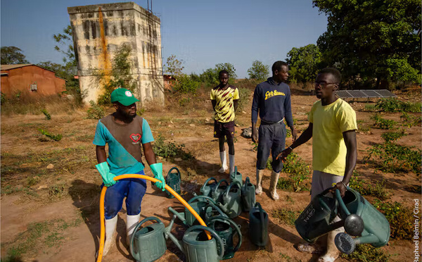 Casamance : le projet CHANGES mise sur l’agroécologie et la sécurité alimentaire