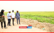 Souveraineté alimentaire au Sénégal : Le Président Diomaye constate les avancées du Projet de Développement Rural de Savoigne