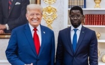 À la Maison Blanche, Donald Trump encense Diomaye Faye : « Il accomplit un travail fantastique »