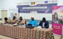 Ziguinchor : comité régional de développement sur l’électrification rurale dans le cadre du programme paderau
