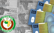 Monnaie unique de la CEDEAO : objectif 2027 malgré les obstacles