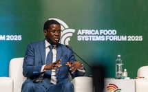 Bassirou Diomaye Faye : « L’Afrique doit compter sur elle-même pour se nourrir »