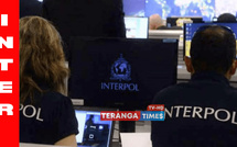 Interpol : forte hausse des arnaques sentimentales et de la sextorsion en ligne, 260 suspects arrêtés en Afrique