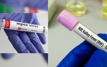 Épidémies de Fièvre de la Vallée du Rift et de Mpox au Sénégal : point de situation au 3 octobre 2025