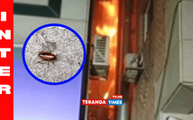 Corée du Sud: Une jeune femme tente de tuer un cafard avec un lance-flammes et provoque un incendie mortel
