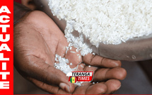 Le gouvernement renforce la commercialisation du riz sénégalais et soutient les producteurs locaux.