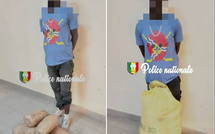 Saisie de 10 kg de chanvre indien à Thiès : un suspect interpellé, un autre en fuite