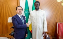 Rencontre au Palais : vers un partenariat stratégique entre l’État du Sénégal et Doganlar Holding