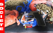 Démantèlement d'un réseau de drogue à Keur Massar : Saisie de 3 kg de chanvre