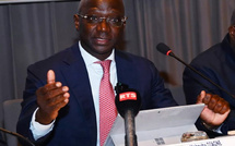 Agriculture en Casamance: Mabouba Diagne souligne les progrès et les défis pour la campagne 2026