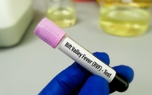 Saint-Louis : les foyers de Fièvre de la Vallée du Rift déclarés éteints