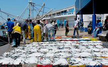 Pêche à Thiès : 130 000 tonnes débarquées pour une valeur de 80 milliards FCFA en 2025