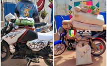 Lutte contre la drogue à Kolda: la police saisit plus de 44 kg de chanvre indien en une journée