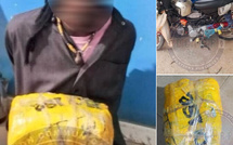 Lutte contre le trafic de drogue : une importante saisie de chanvre indien opérée à Sédhiou