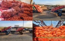 Trafic illicite de produits agricoles vers la Mauritanie: 11 individus arrêtés, 365 sacs saisis