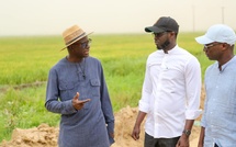 Consommer local : le président appelle à renforcer la valorisation de la production nationale