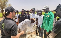 Agriculture : El Malick Ndiaye appelle à une mobilisation pour la souveraineté alimentaire