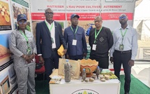 Vallée du Fleuve Sénégal: La SAED s'engage pour l'institutionnalisation de l'agroécologie à la JAES 2026