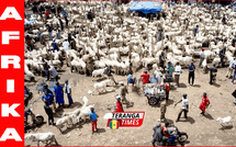Sécurité au Sahel: La fermeture des marchés à bétail à Bamako, une mesure à double tranchant ?