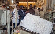 Filière Coton : À Vélingara, le Chef de l’État Diomaye FAYE érige la SODEFITEX en levier d’industrialisation rurale