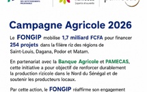 Le FONGIP passe à l’action pour la campagne agricole 2026 : 1,7 milliard FCFA pour booster la riziculture dans le Nord